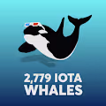 Ten Promo Whales 2021