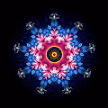 Colorful Mandala Collection