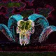 skulls cranios
