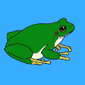 Crypto Frog 56