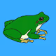 Crypto Frog 56