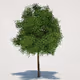RecoTree
