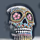 Skullz AI