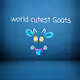 world cutest Goats