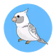 Crypto cockatiel