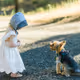Faerie and Yorkie