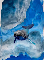 MUNDO SUBMARINO