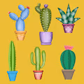 Cactus Plus Series