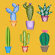 Cactus Plus Series