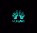 Make in China
