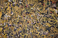 bitcoin Ethereum Blockchain309