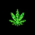 Astro Weed Collection