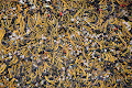 bitcoin Ethereum Blockchain287