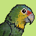 Earth Birds Conservation Club