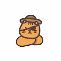 Panta the cat