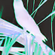 POST MODERNISM BIRDS BY RODRIGO BALDASSARRE