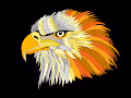 Wildlife Beauties - Birds