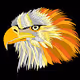 Wildlife Beauties - Birds