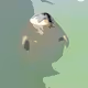 Hot-spring seal