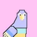 Parrot Guys