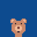 Weird Bears Club