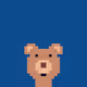 Weird Bears Club