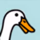 blurry duck