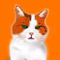 The Original Shady Cat
