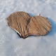 Valentine's stump