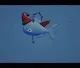 FlyingFzish