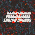 Nascar X Indian Brands