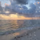 Mosaic Ocean