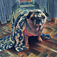 Sasha Pug