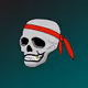 SkullRider Collection
