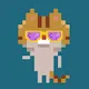 Cool Pixel Cat