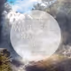 Waterfall - The Nature Silk