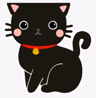 Cat experiments
