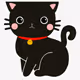 Cat experiments