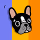 FRIENDZ BULLDOGZ