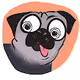 Fartpug Fartsessorize