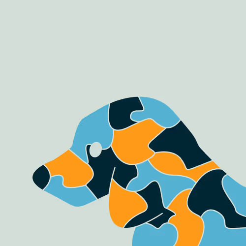 Crypto Camouflage Animals
