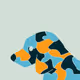 Crypto Camouflage Animals