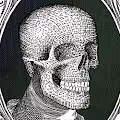 Skull bills