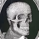 Skull bills