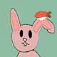 Pchillu Bunny's dreams