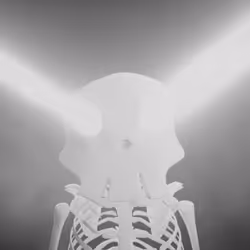 3D Bruno Club + JimmyCrypto888 Collaboration