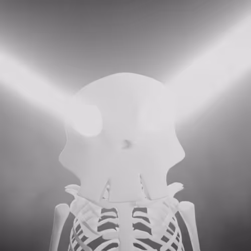 3D Bruno Club + JimmyCrypto888 Collaboration