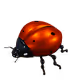 Microbot Insecto