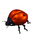 Microbot Insecto