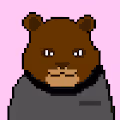 PolyBears Collection